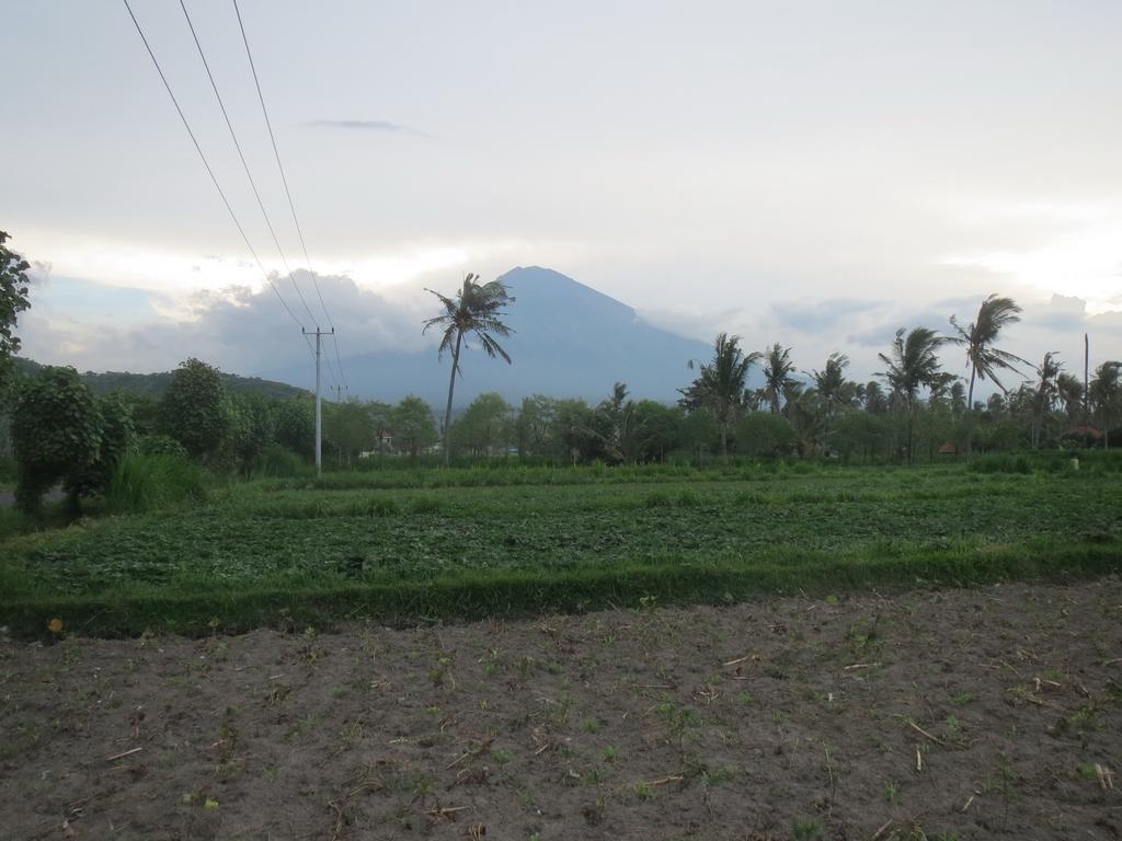 Mesari Homestay & Warung アメッド エクステリア 写真