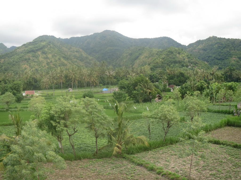 Mesari Homestay & Warung アメッド エクステリア 写真